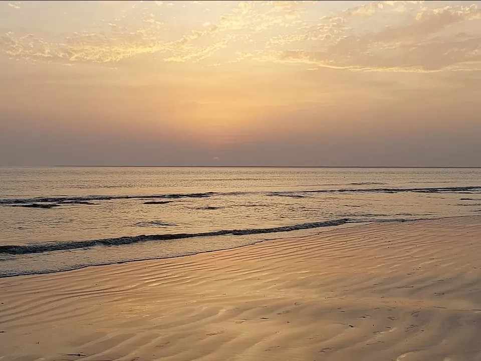 About The Dolphin Camp – Best Beach Resort in Mousuni Island